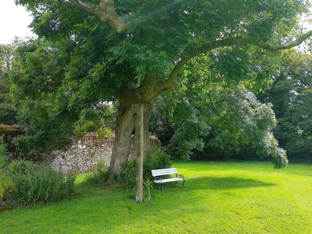 Kilmahon House, P25A973 Bed & Breakfast Shanagarry Bagian luar foto