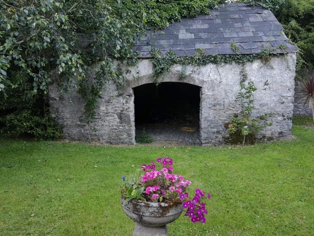 Kilmahon House, P25A973 Bed & Breakfast Shanagarry Bagian luar foto